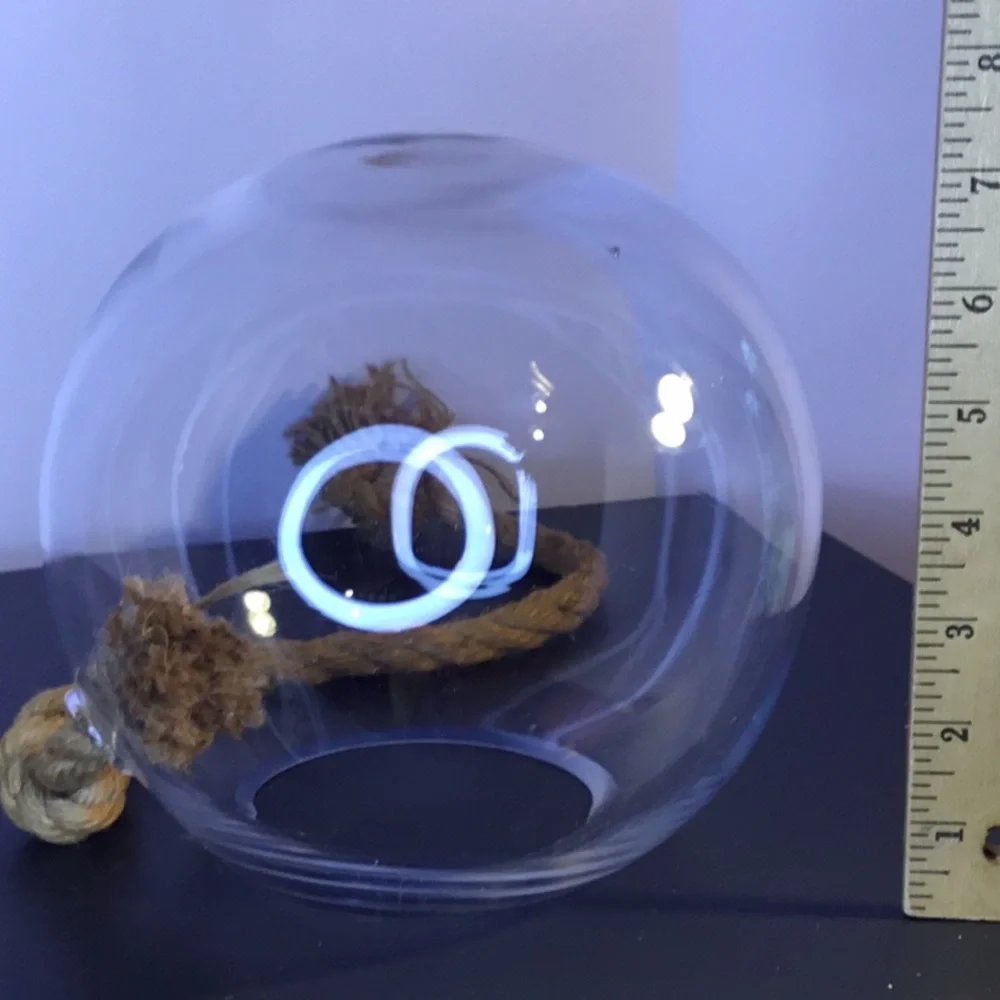Large Hanging Globe Terrarium With Rope Hanger - Picture 16 of 16